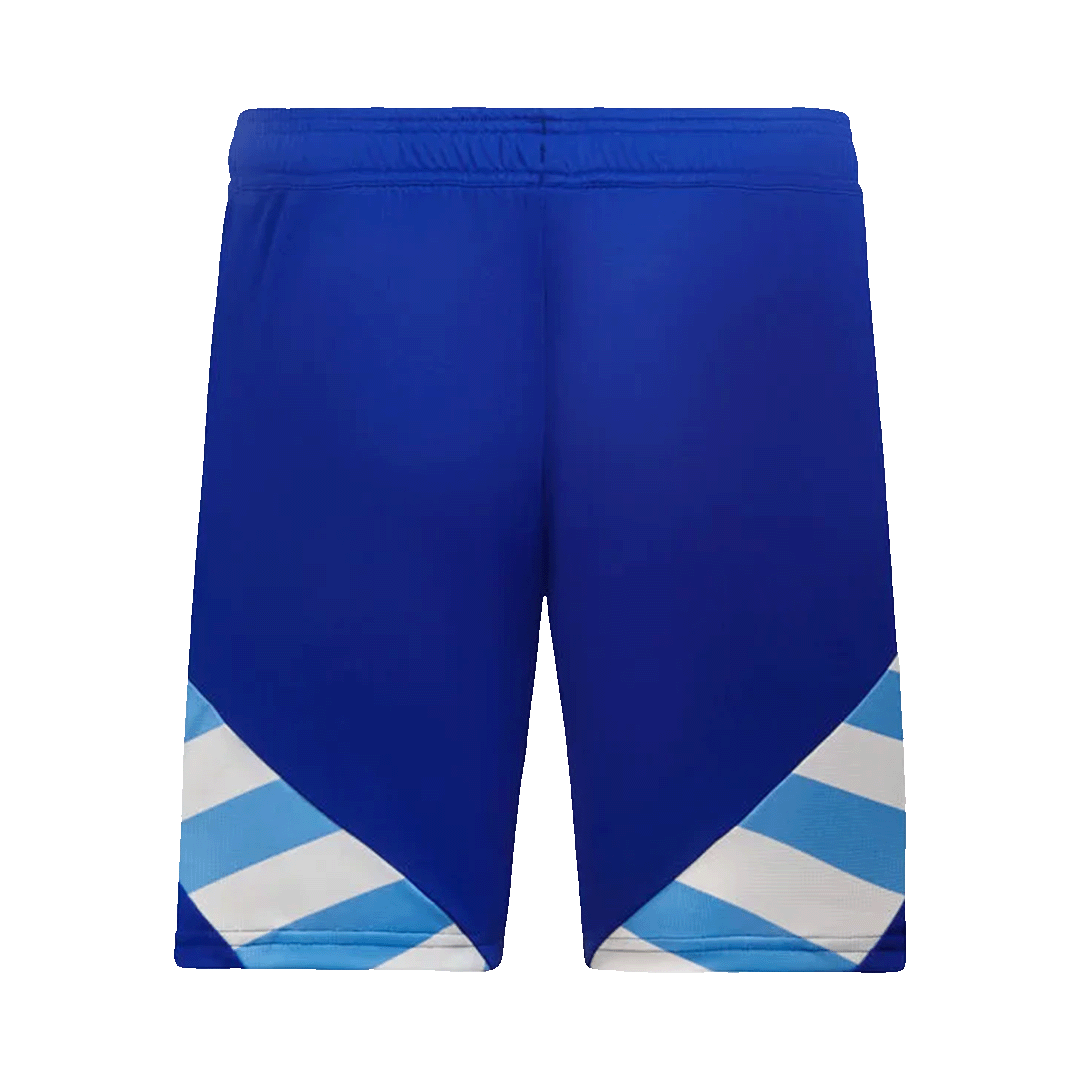 Argentina Away Shorts Copa America (back view)
