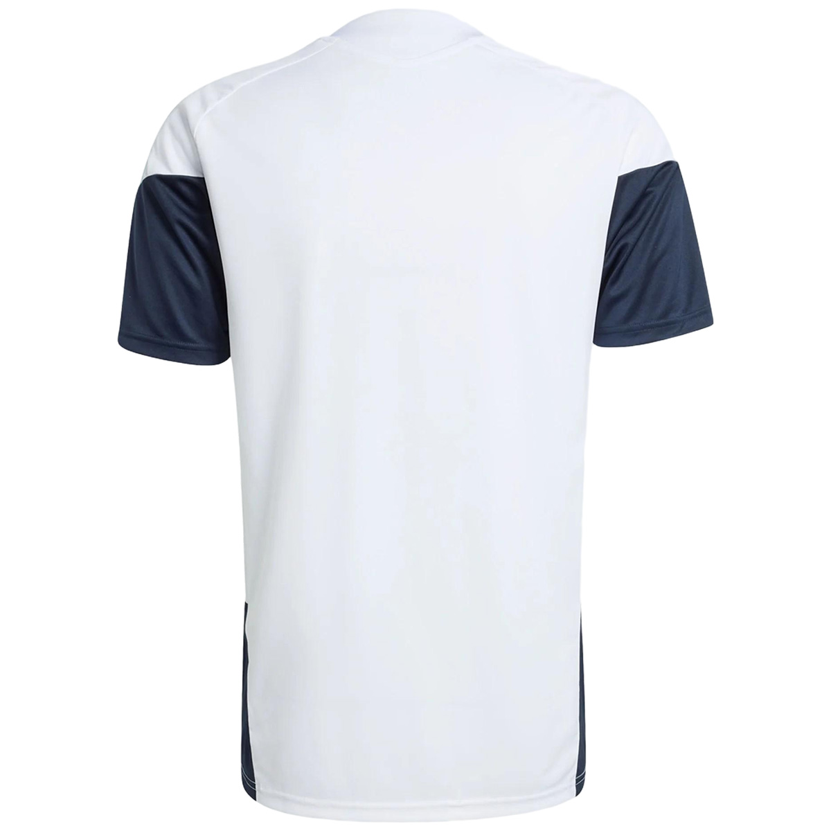 Argentina Pre-Match Training Jersey World Cup 2026 (back view)