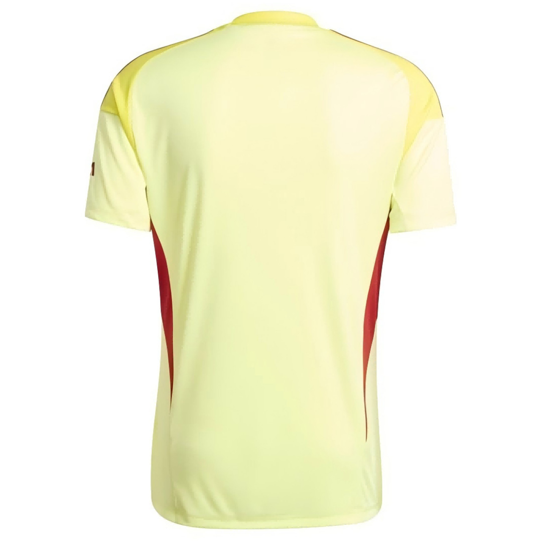 Arsenal Goalkeeper Jersey 2025/26 (back view)