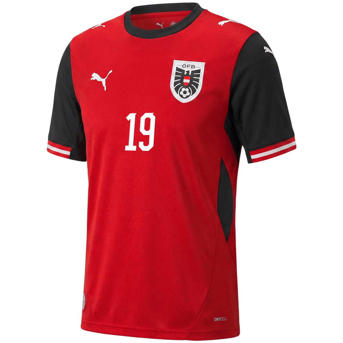 BAUMGARTNER #19 Austria Home Jersey World Cup 2026 (back view)