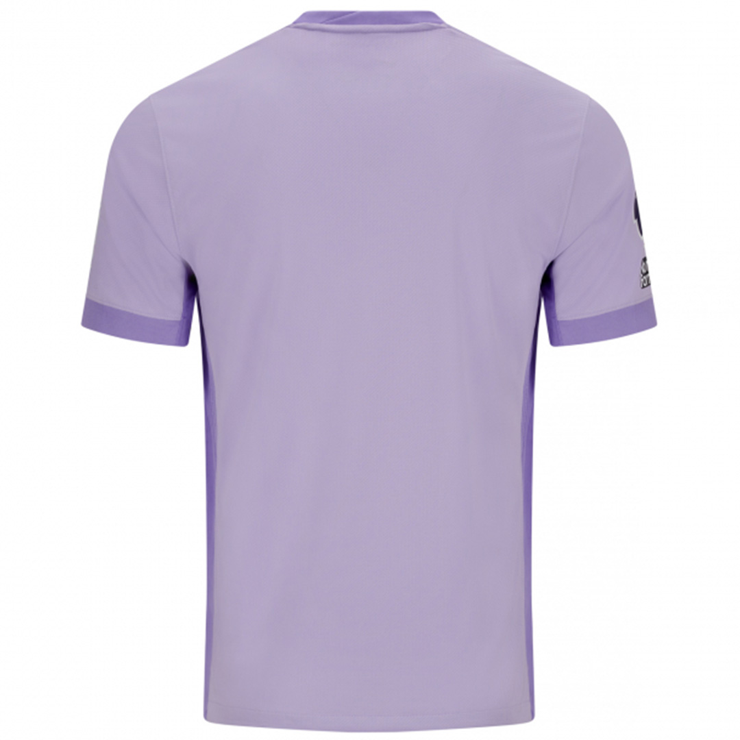 Brighton & Hove Albion Away Jersey 2025/26 (back view)
