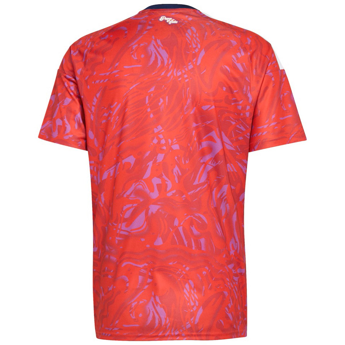 Costa Rica Home Jersey World Cup 2026 (back view)