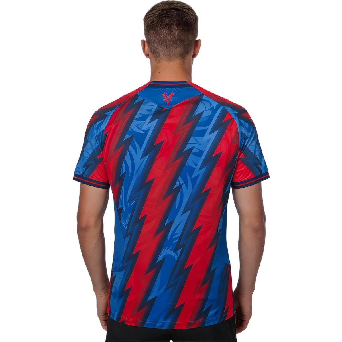Crystal Palace Third Match Jersey Player Version 2026/27 (back view)