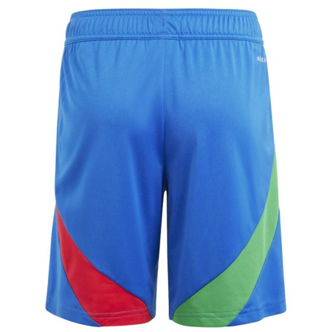 Italy Away Shorts EURO (back view)