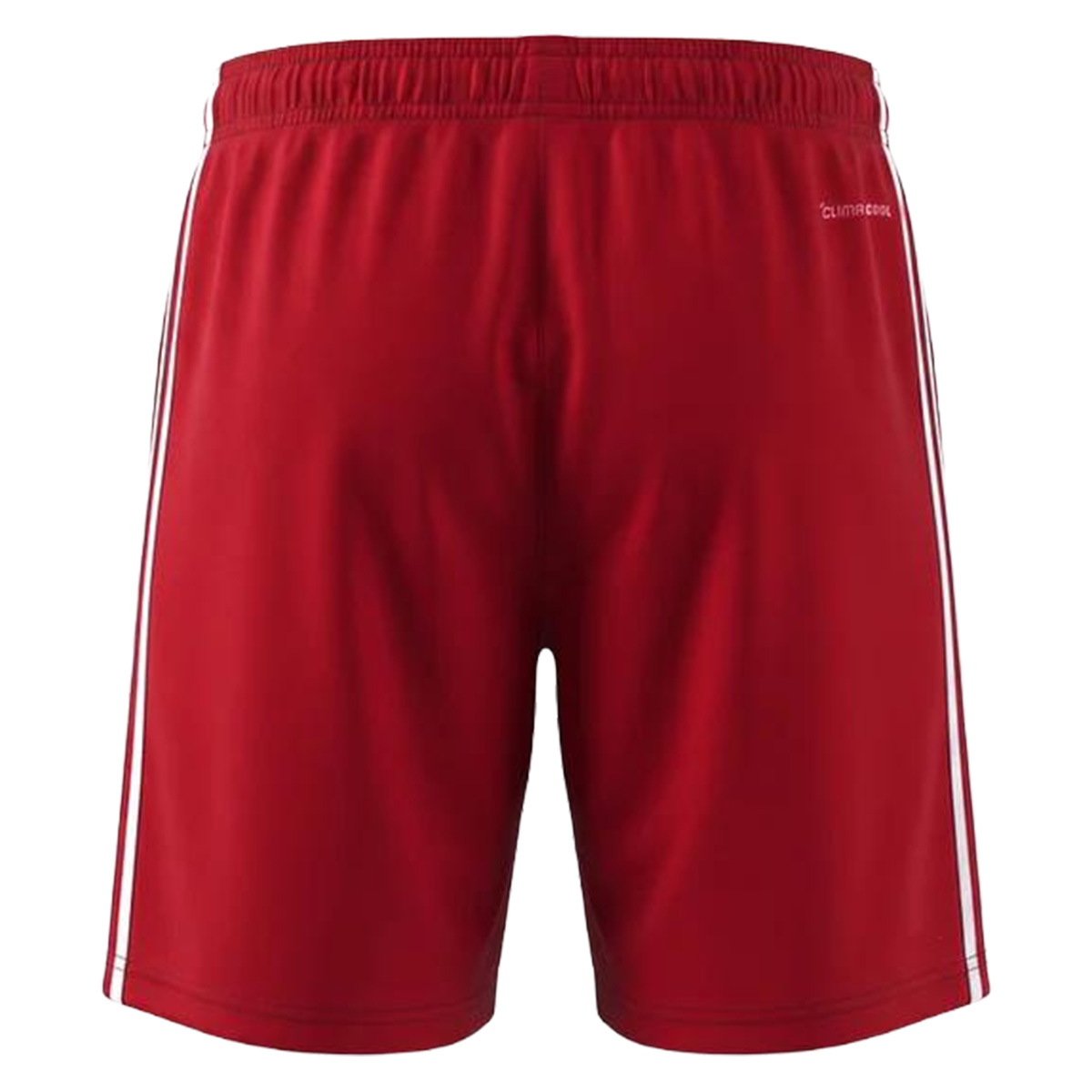 Liverpool Away Football Shorts 2026/27 (back view)