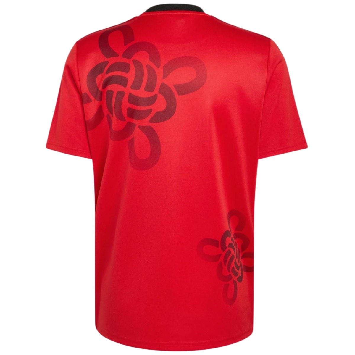 Manchester United Cultural Story Jersey 2025/26 (back view)