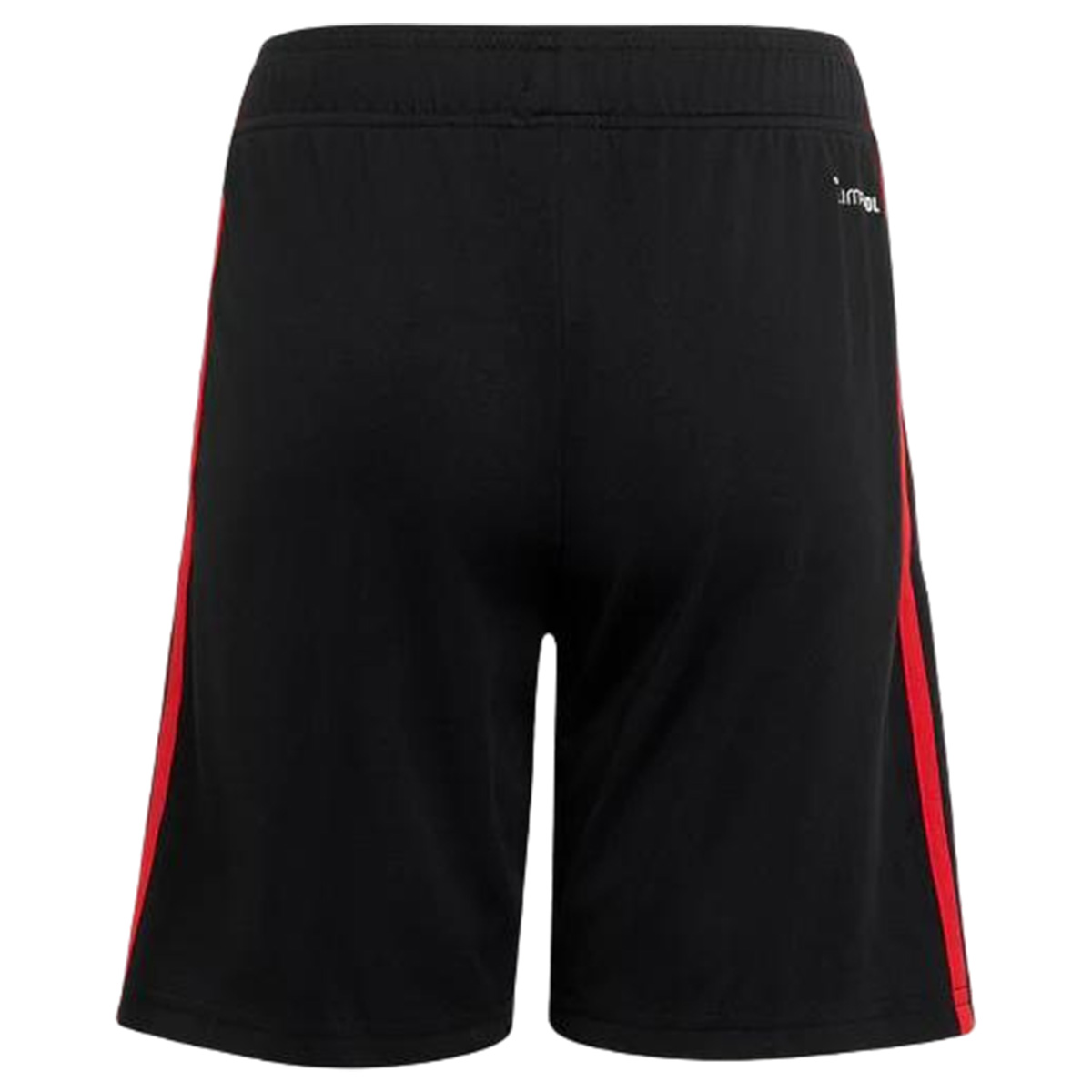 Mexico Third Soccer Shorts World Cup 2026 (back view)