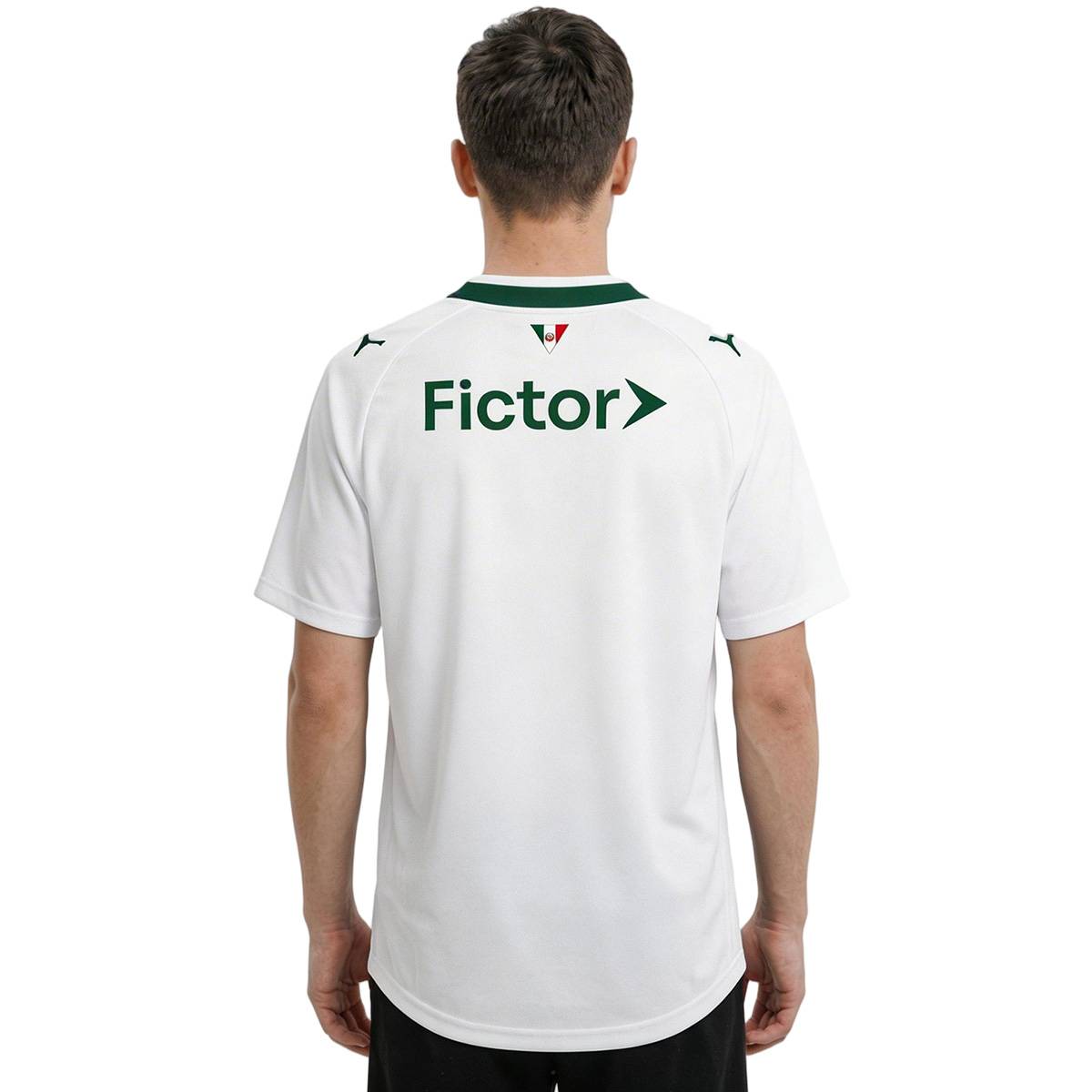 SE Palmeiras Away Jersey 2026 (back view)