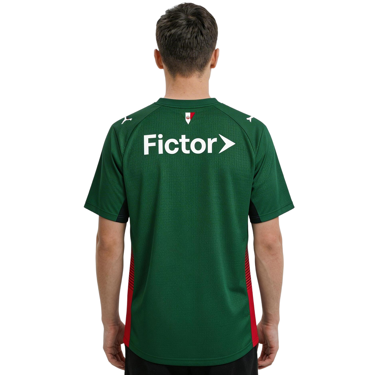 SE Palmeiras Home Jersey 2026 (back view)