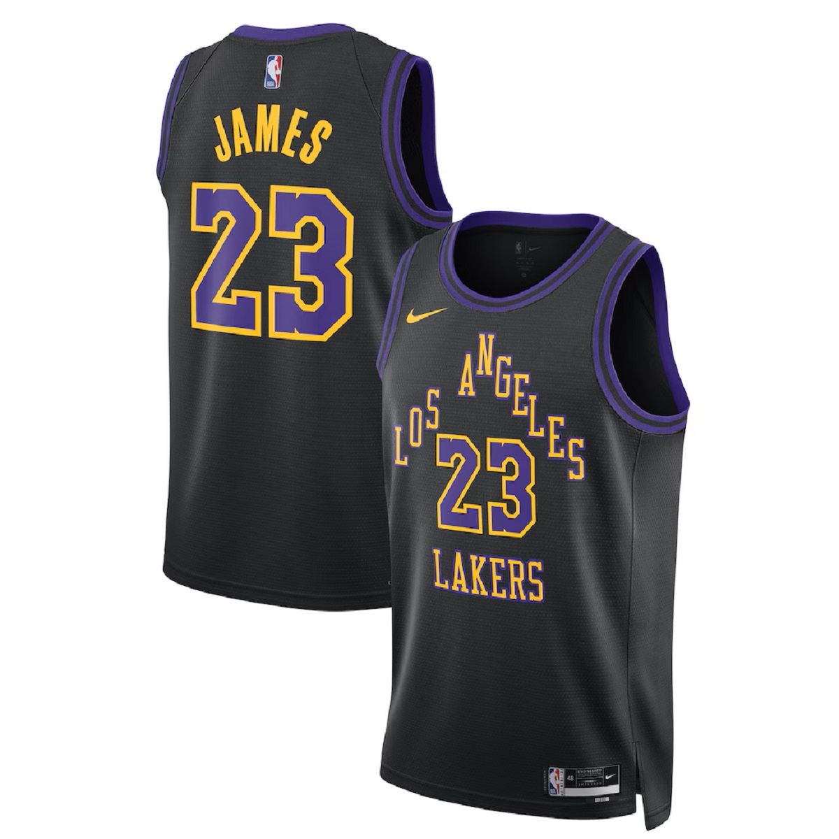 Unisex Los Angeles Lakers LeBron James #23 Black Swingman Jersey 2025/26 - City Edition