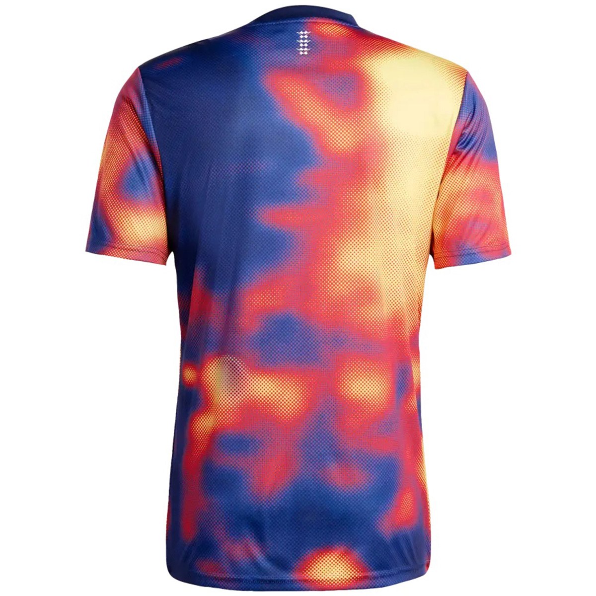 Ajax Pre-Match Jersey 2025/26 (back view)