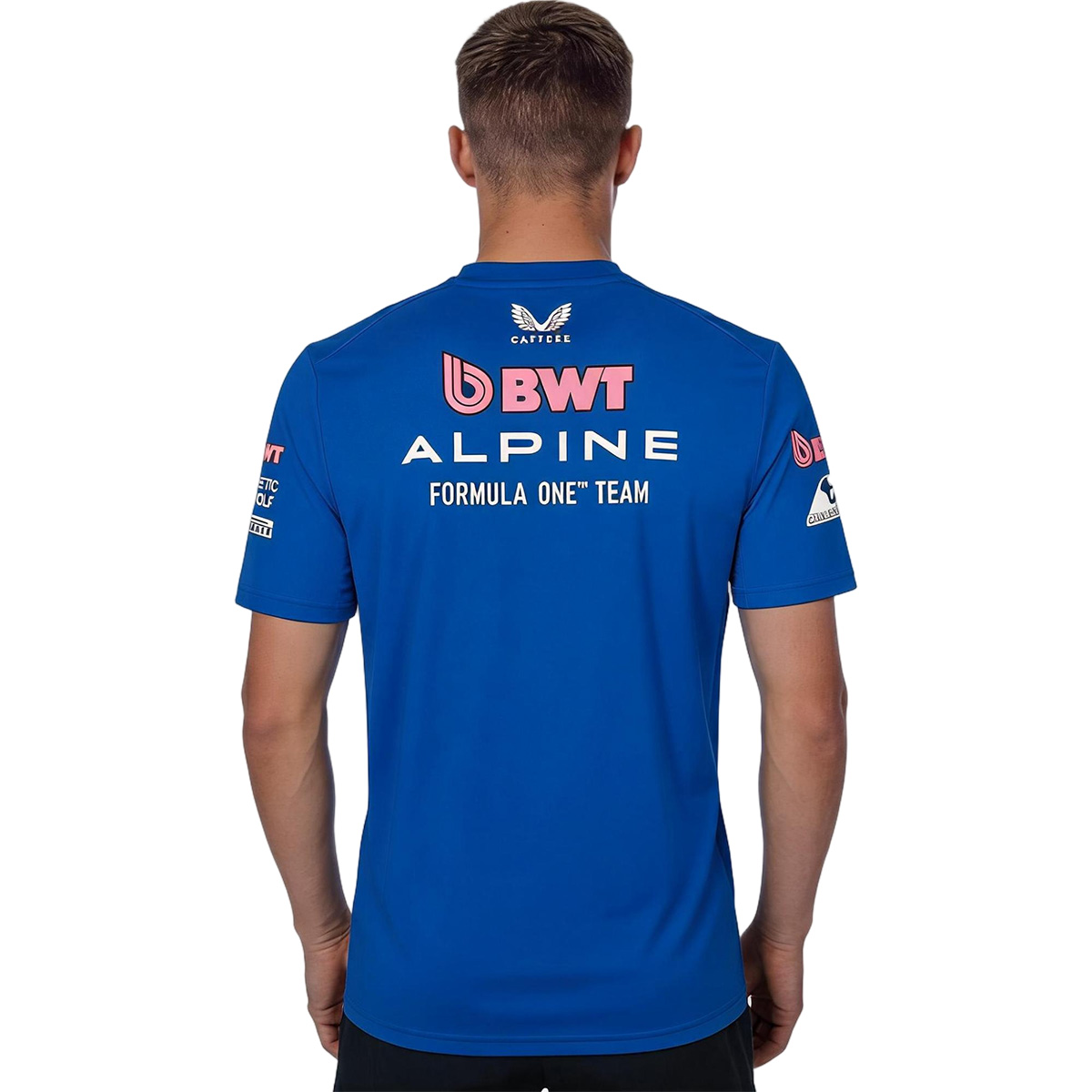 Alpine F1 Racing Team T-Shirt 2026 (back view)