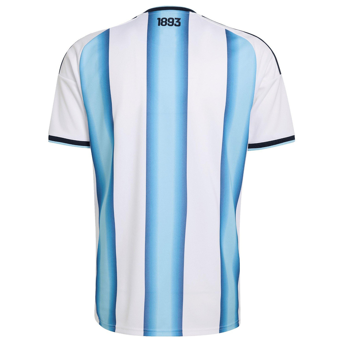 Argentina Home World Cup Final Version Jersey 2026 (back view)