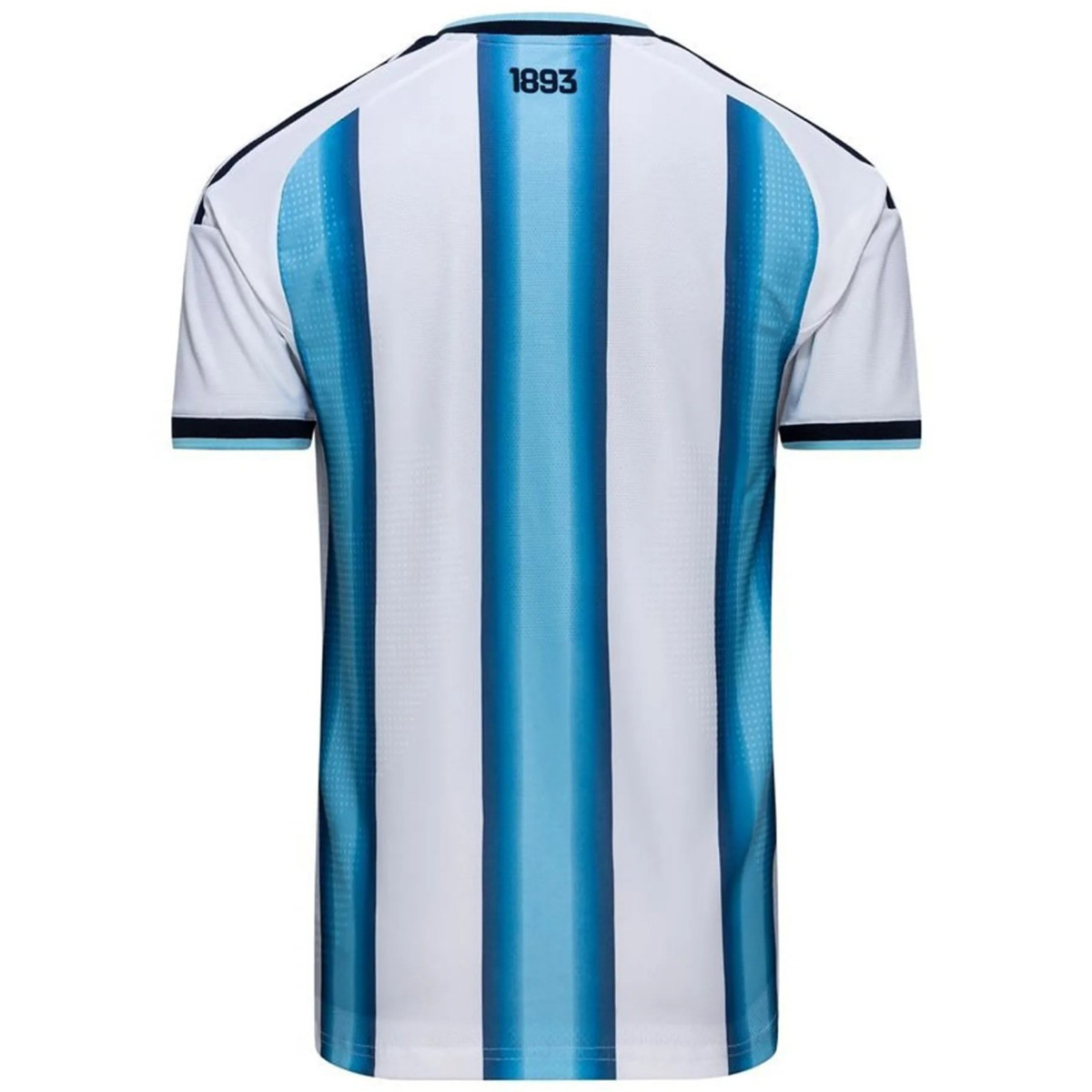 Argentina Home World Cup Final Version Match Jersey Player Edition 2026 (back view)