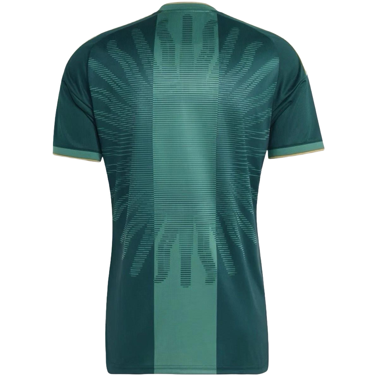 Argentina x Messi Farewell Anniversary Goalkeeper Jersey 2026 (back view)