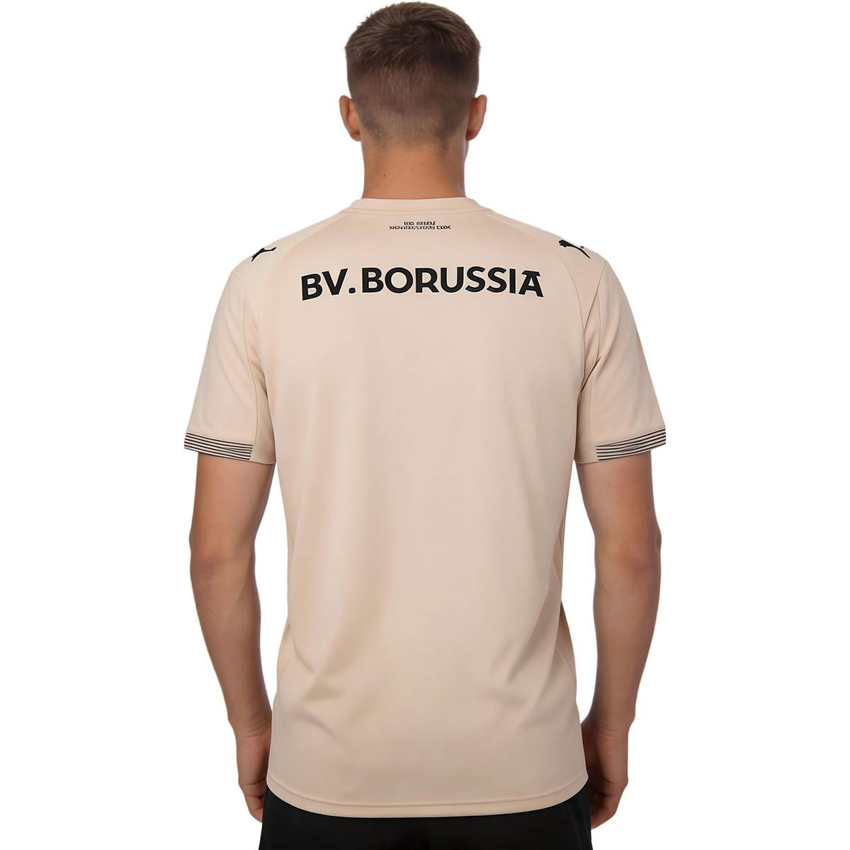 Borussia Dortmund 100th Anniversary Rote Erde Special Edition GK Jersey 2026 (back view)