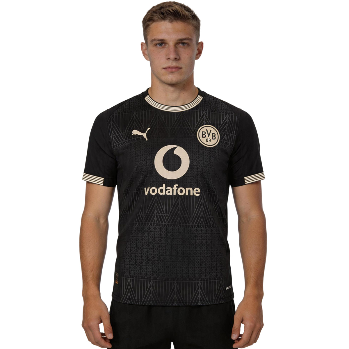 Borussia Dortmund 100th Anniversary Rote Erde Special Edition Jersey 2026
