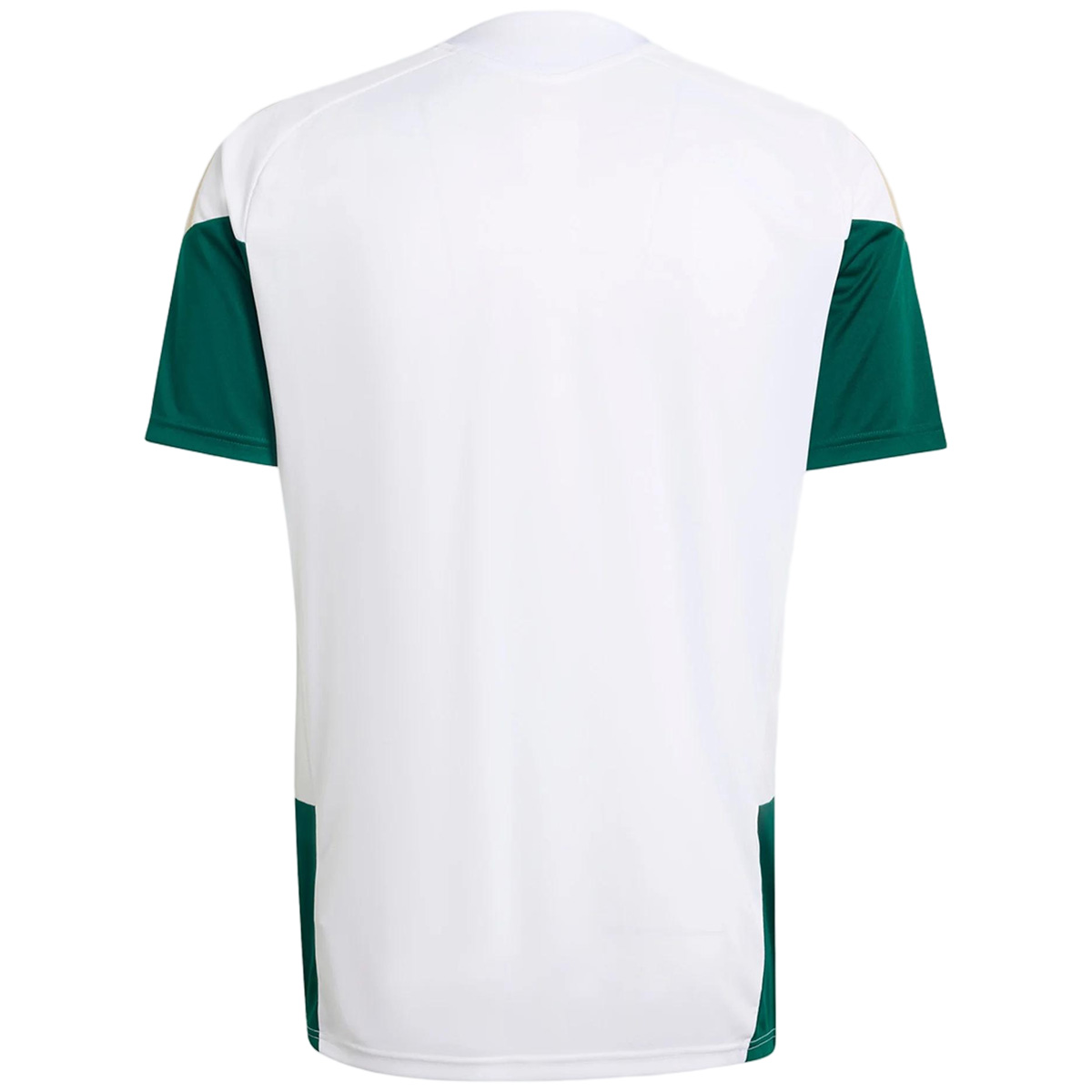 Italy Pre-Match Training Jersey World Cup 2026 (back view)