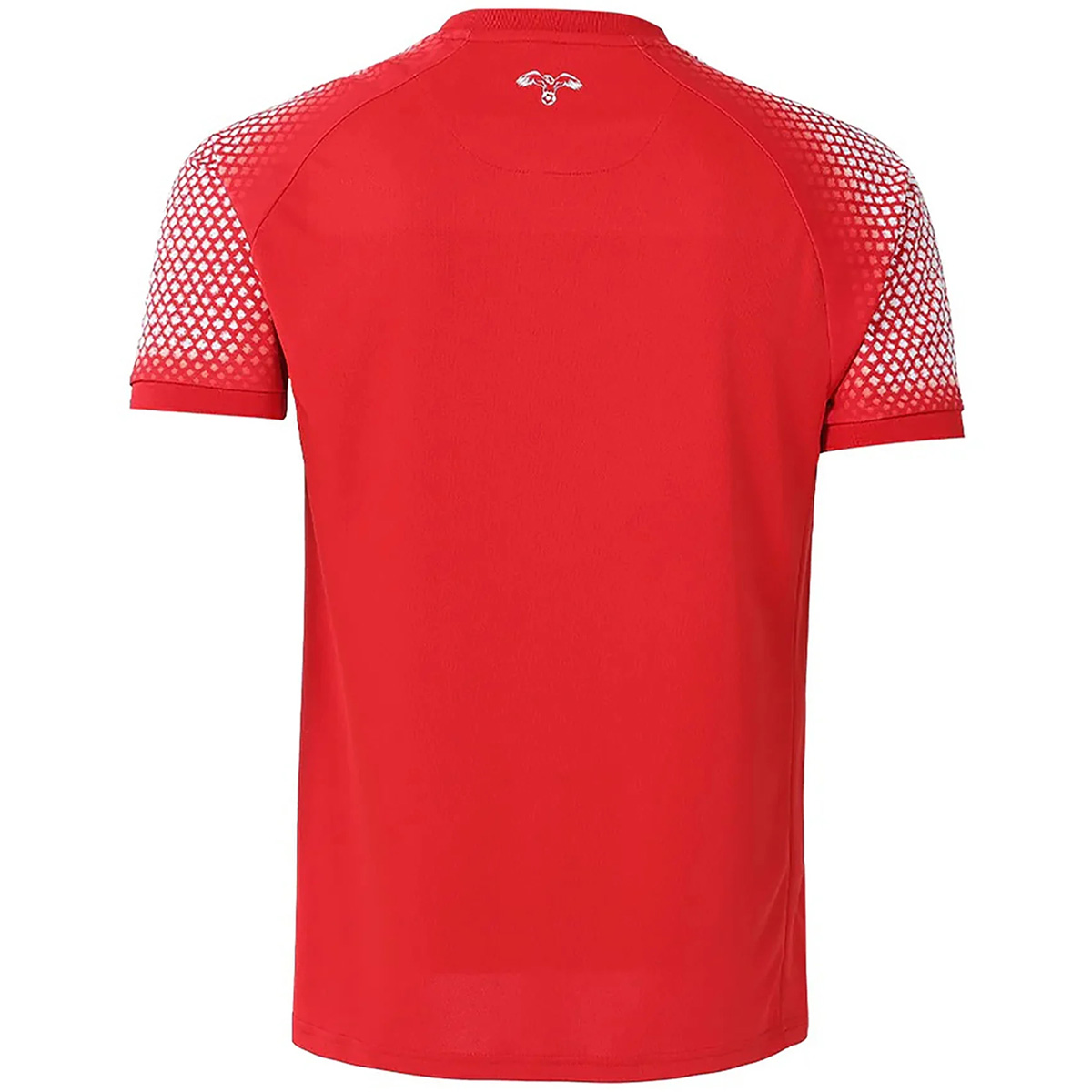Jordan Away Jersey World Cup 2026 (back view)
