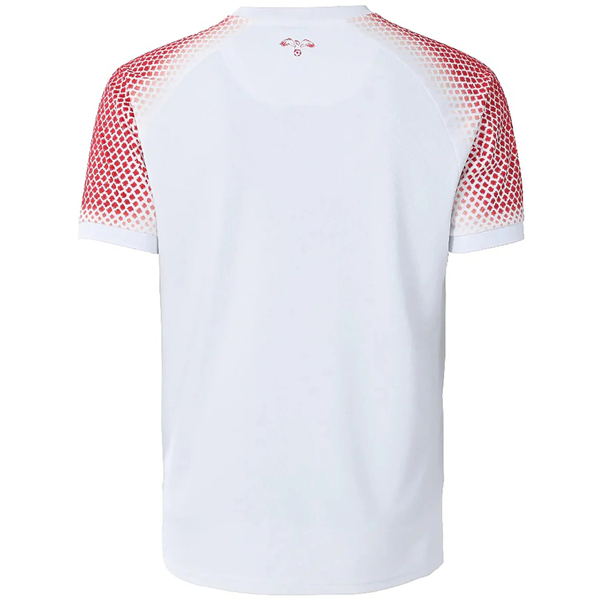 Jordan Home Jersey World Cup 2026 (back view)