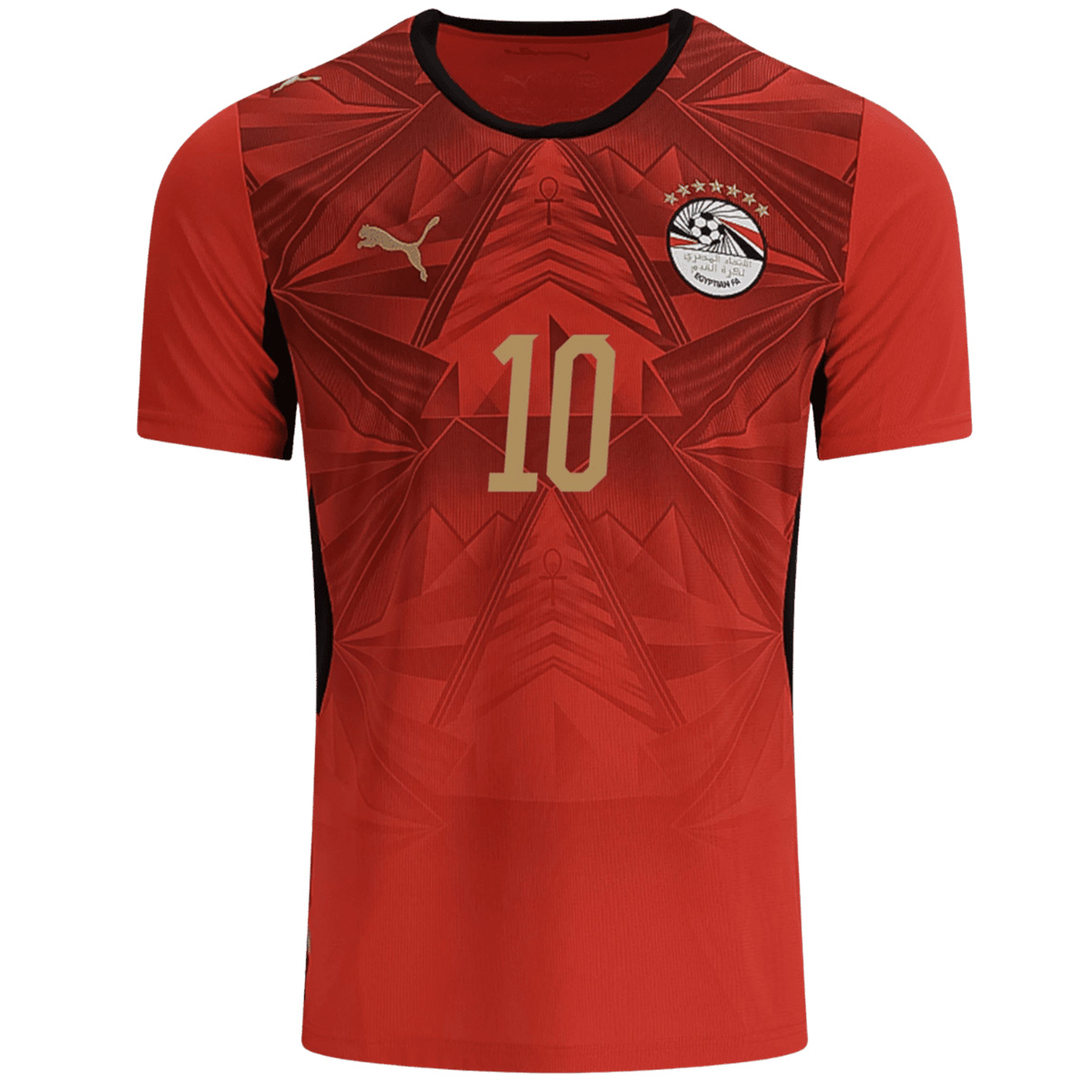 M.SALAH #10 Egypt Home Jersey World Cup 2026 (back view)