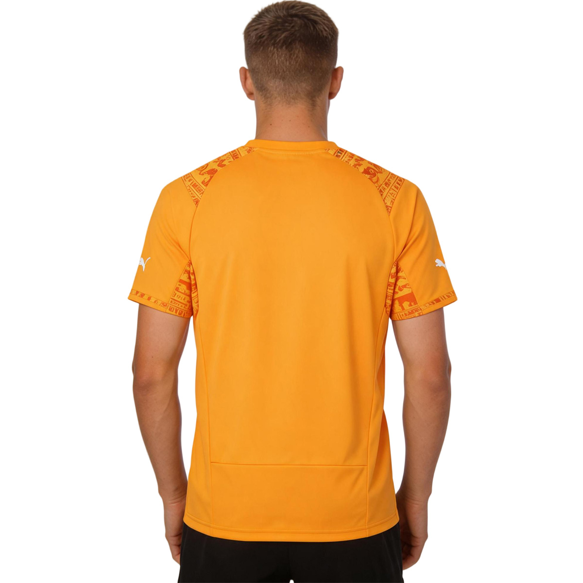 Retro Ivory Coast Home Jersey World Cup 2014 (back view)