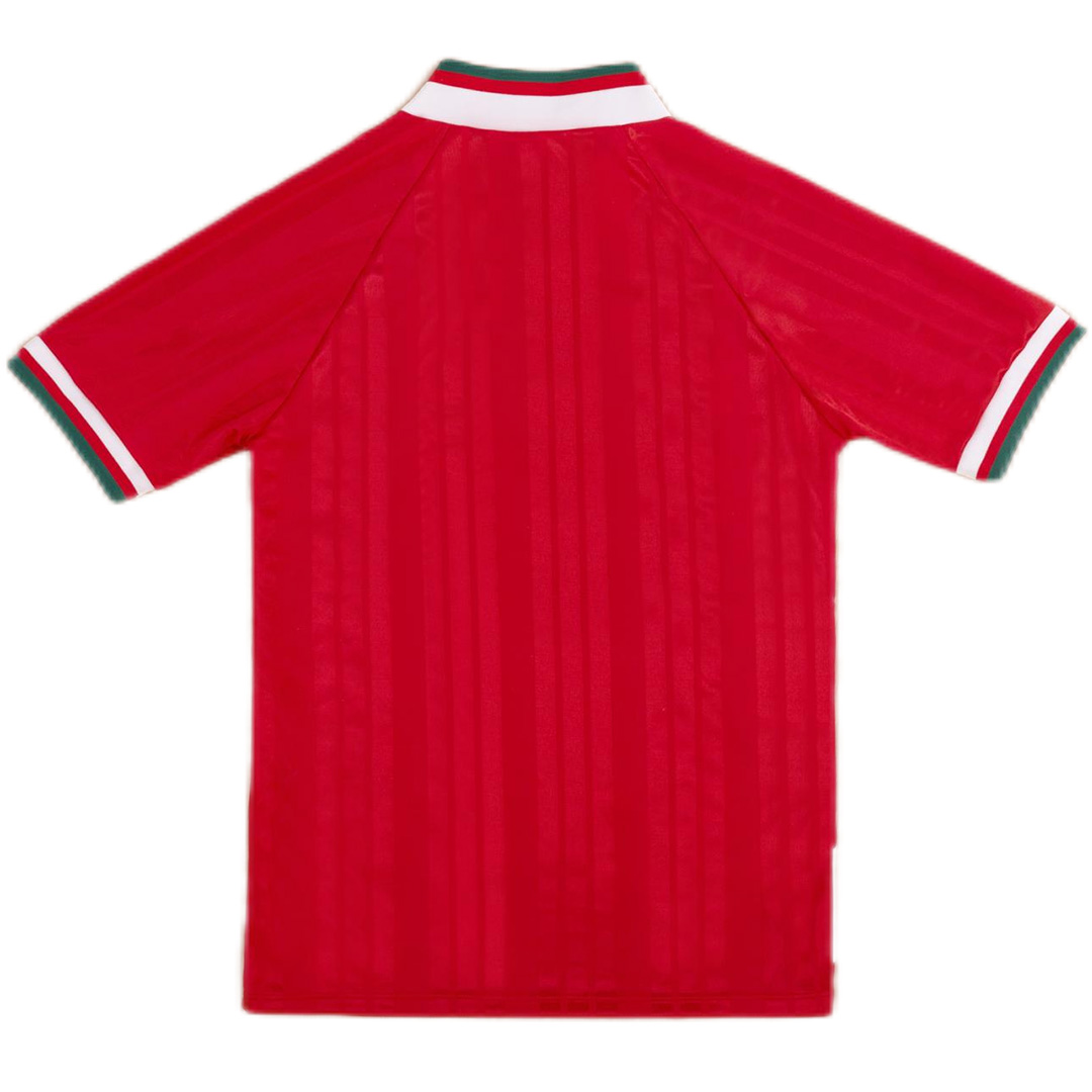 Retro Liverpool Home Jersey 1993/95 (back view)