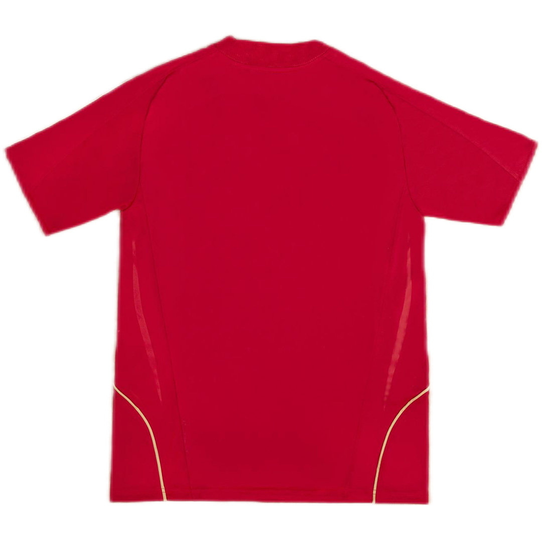 Retro Spain Home Jersey 2008 (back view)