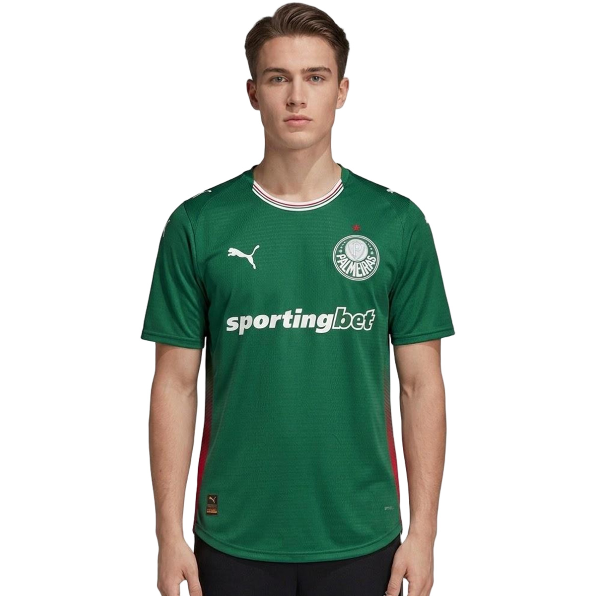 SE Palmeiras Home Jersey 2024/25